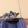 沢山のご応募有難うございました サムネイル3