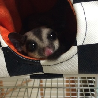 沢山のご応募有難うございました