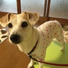 たまえ