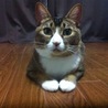 小梅