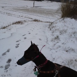 初体験  なんじゃこの寒さ！