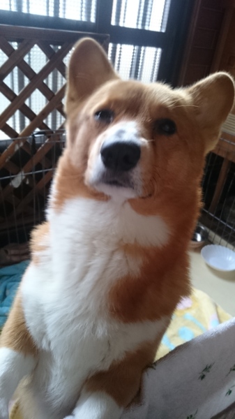せつな
