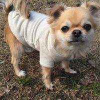 長谷川　コナ
