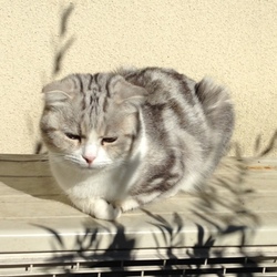 寒い日の過ごし方