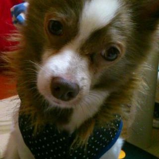 家族の一員としてむかえてくれる方