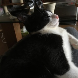 さようなら、虫