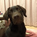 ありがとうございました。