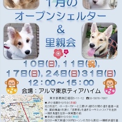 ティアハイムオープンシェルター里親会 サムネイル2