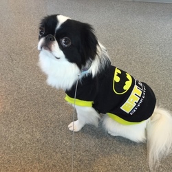 お腹が痛いの⁈