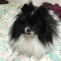 なつ