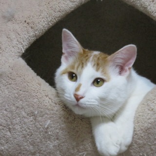 健太くん。９ヶ月元気です