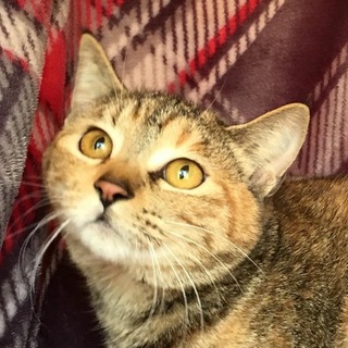 うーちゃん