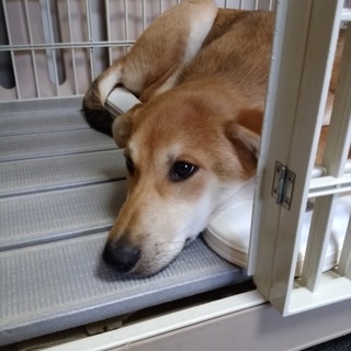 トライアル開始の為、一旦募集終了します！