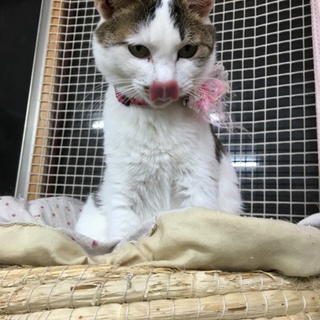 ようやく人馴れしてきたちーちゃん