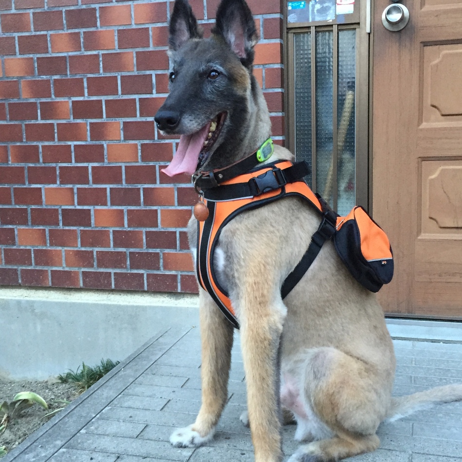 ジルのカバー写真