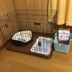 待ち遠しい♥️