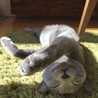 タカミチ