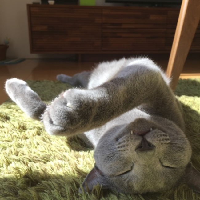 タカミチのカバー写真