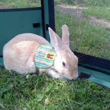 お外はちょっと苦手だったね