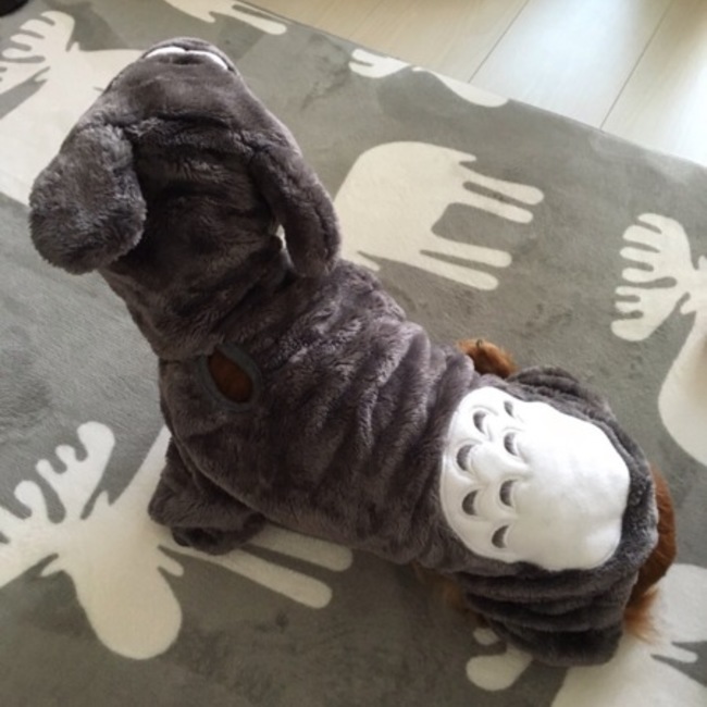 ミカ39のカバー写真