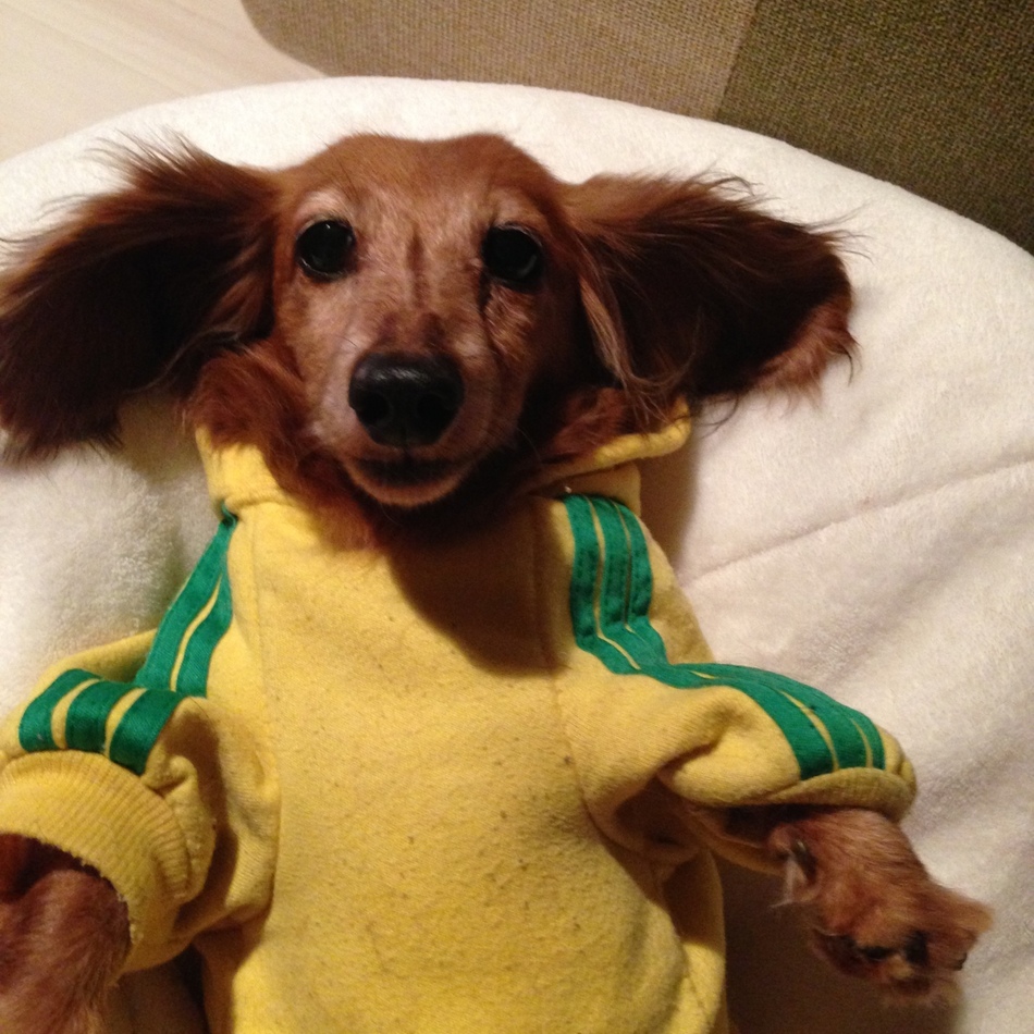 リンのカバー写真