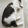 の写真