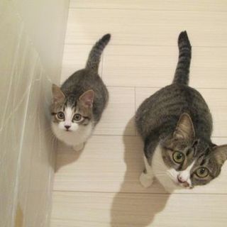 一時停止させていただきます最高に可愛い親子