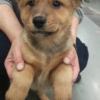 テディベアみたいなアル子ちゃん！