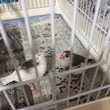 新しい素敵なご家族と出会えました！