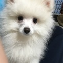 素敵な良い方に決まりました