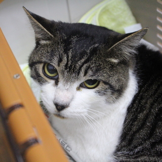 やんちゃ坊主のホップ君