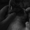 膝の上で 眠る