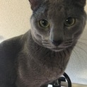 人懐こい元気な男の子☆