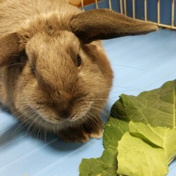 「8か月」サムネイル2