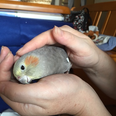 の写真