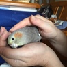 の写真