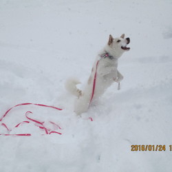 「雪遊び」サムネイル2