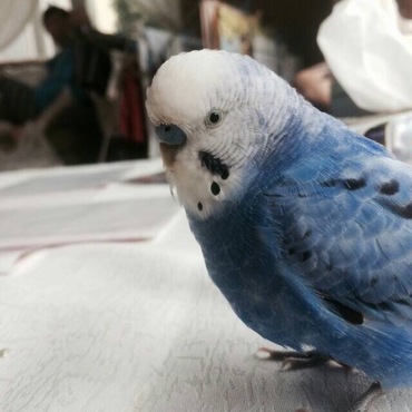 の写真