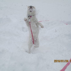 「雪遊び」サムネイル3