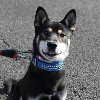 元気１００％で内弁慶な?!アキラ君♪