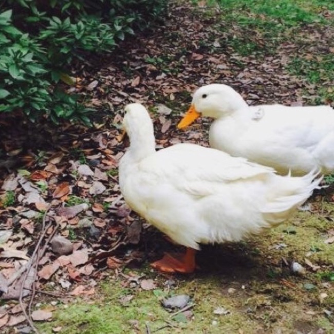 namekoba65のカバー写真