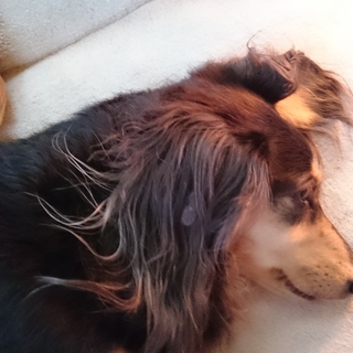 たくさんのメッセージありがとうございました。