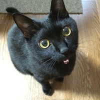 くろみつ