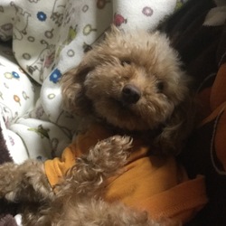 寒い日はここが一番