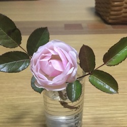 「寒い日はここが一番」サムネイル2