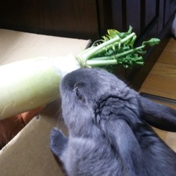 「8か月」サムネイル3