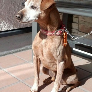 助かりました( ´∀`)火曜日に処分予定です