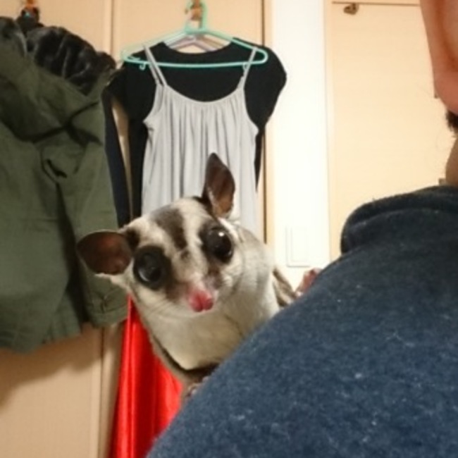 kazuminomusi26のカバー写真