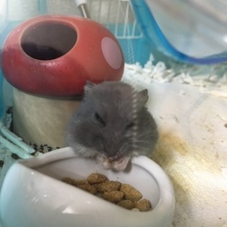 独り言