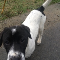 山田ミッキー 川下